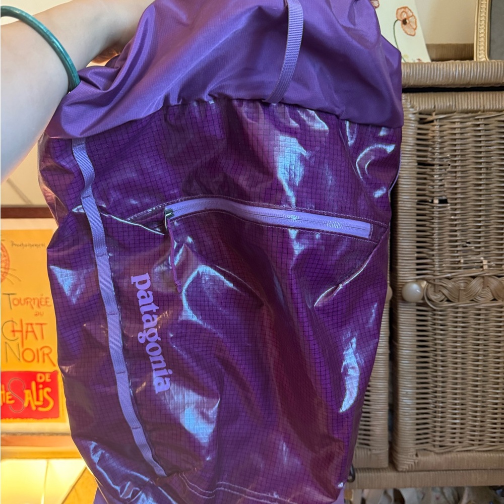 Patagonia Lightweight Black Hole 20L Backpack